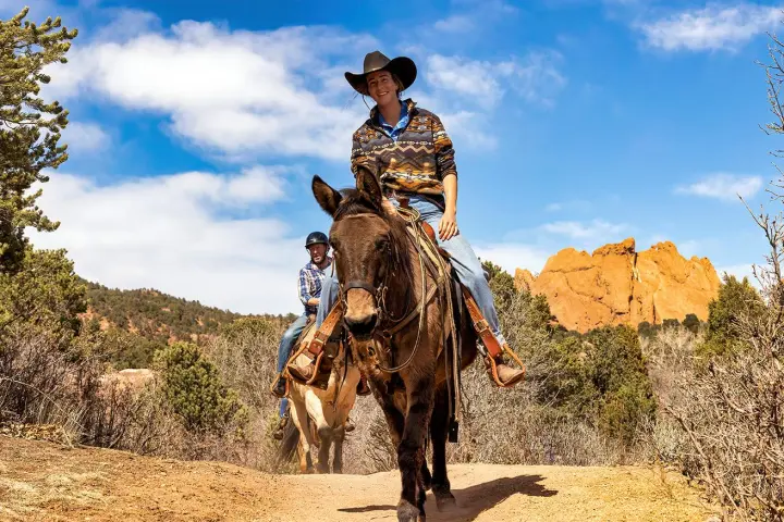 a man riding a horse