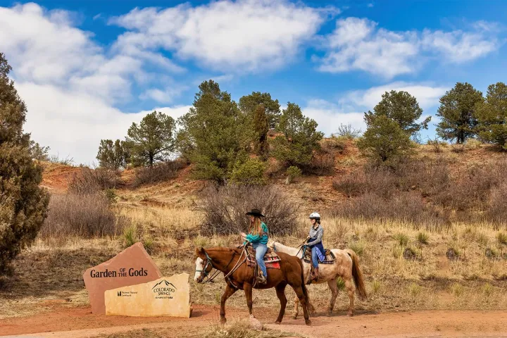 a person riding a horse