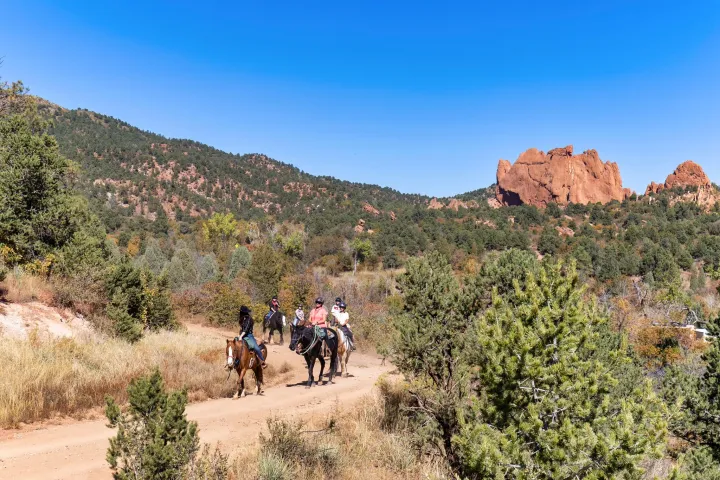 a person riding a bike down a dirt road